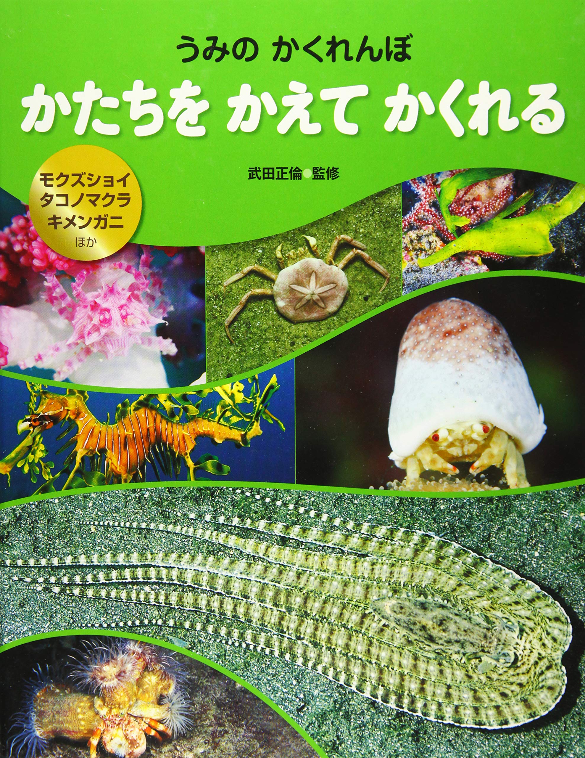 かたちを かえて かくれる: モクズショイ・タコノマクラ・キメンガニ